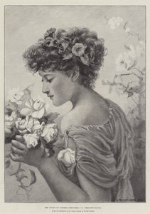 The Spirit of Summer Parfymer